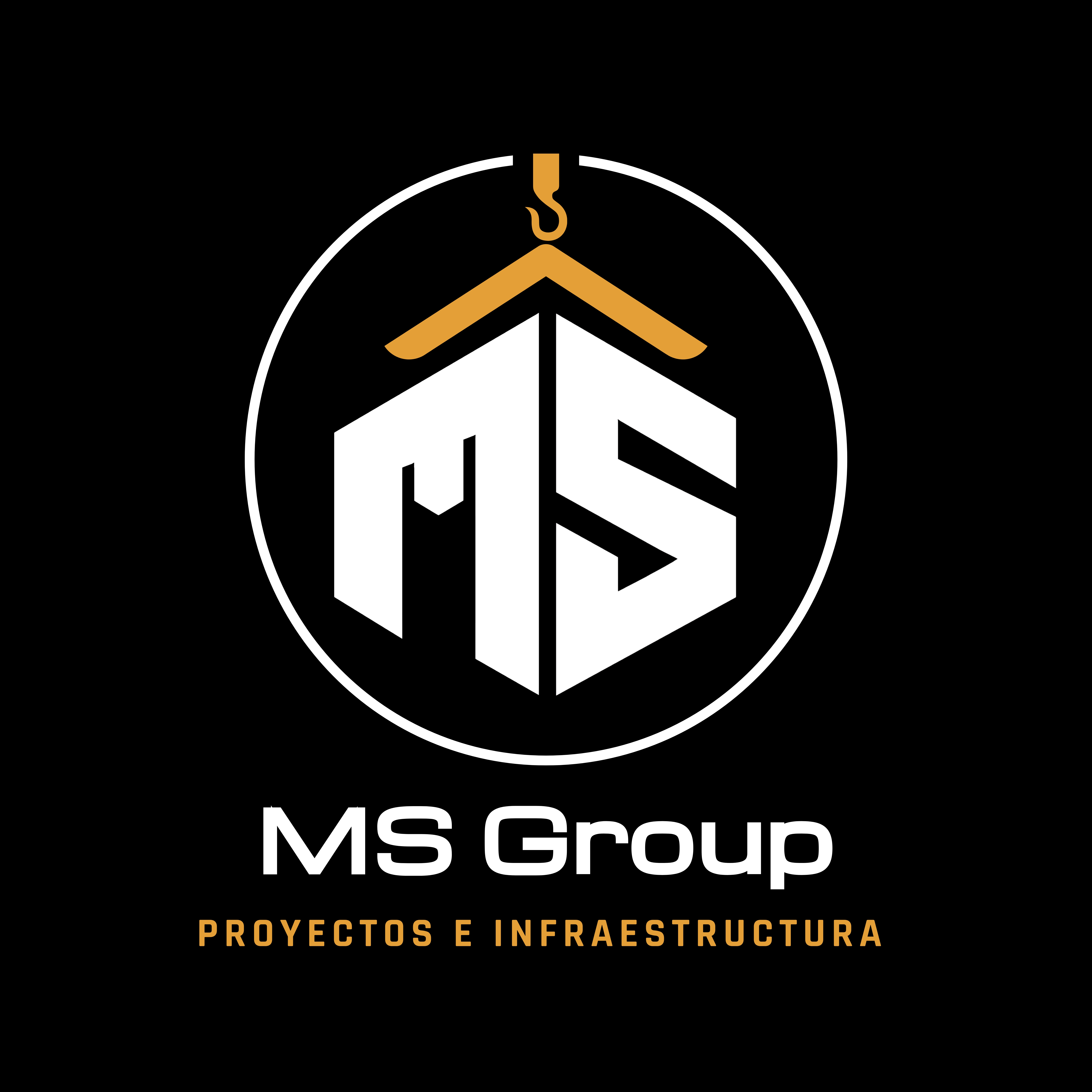 MS Group Web